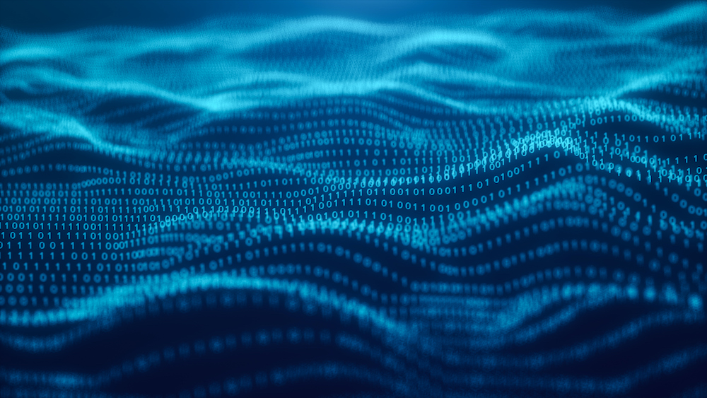 Password Management Solutions